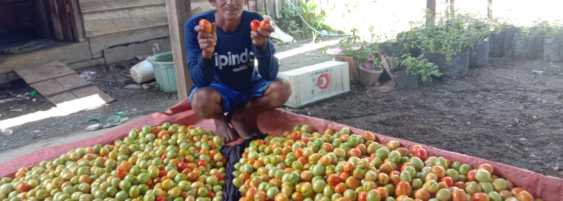 Achieving Big Dreams to Become a Successful Farmer