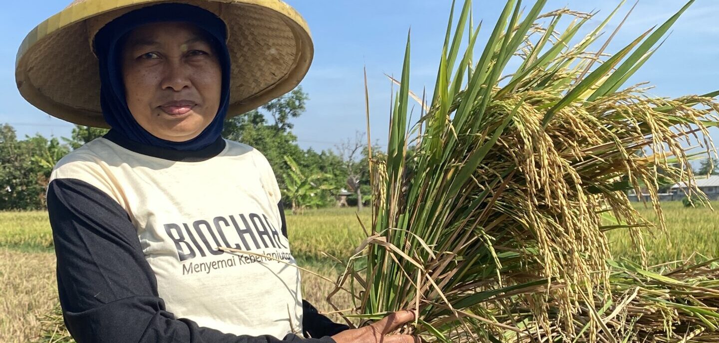 Biochar, Menyemai Keberlanjutan