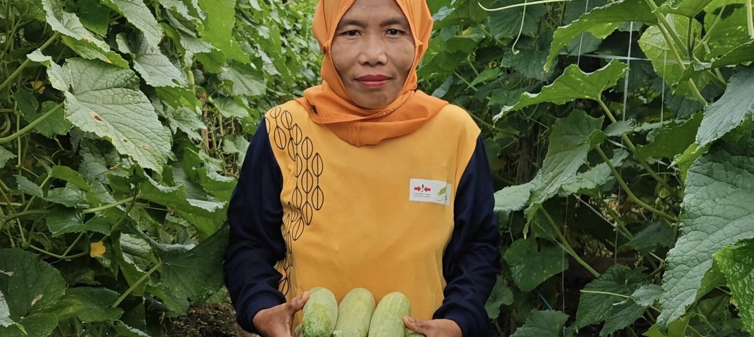 Knowledge Transfer & Extension – Maluku