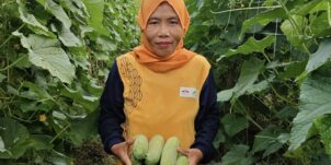 Knowledge Transfer & Extension – Maluku