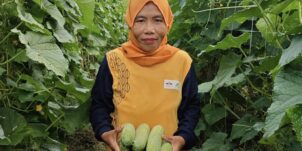 Knowledge Transfer & Extension – Maluku
