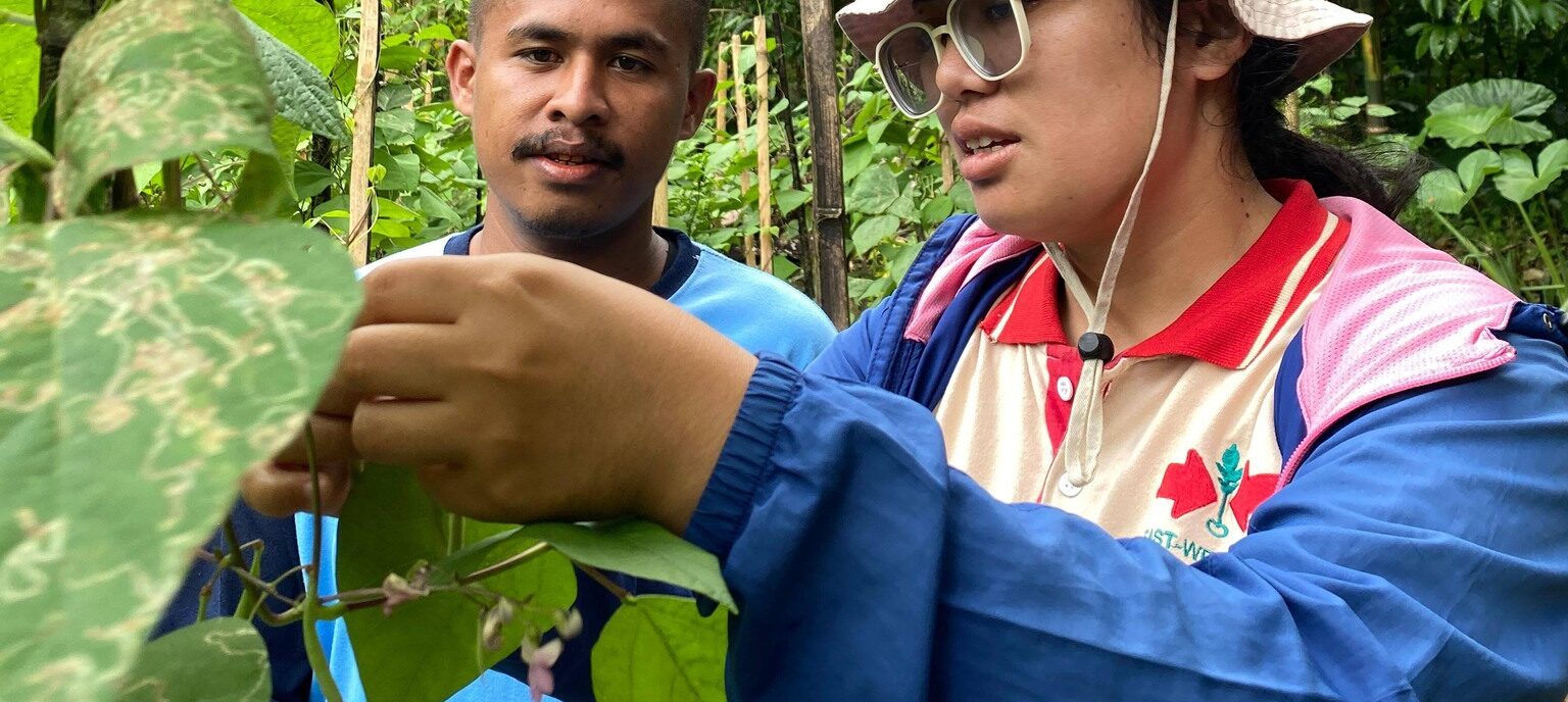 Let’s Grow! (Sumba Cluster)