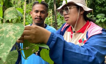 Let’s Grow! (Sumba Cluster)