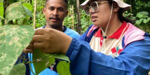 Let’s Grow (Sumba Cluster)