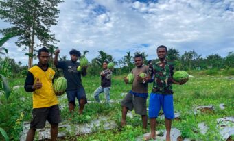 Knowledge Transfer & Extension – Papua & South Papua