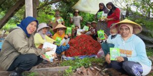 Enhancing Smallholder Farmers’ Income and Livelihoods with Profitable Vegetable Production Practices