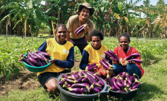 Knowledge Transfer & Extension – Papua & South Papua