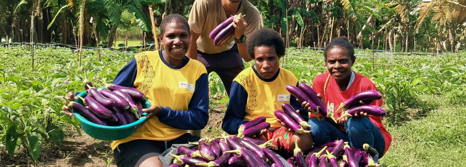 Knowledge Transfer & Extension – Papua & Papua Selatan