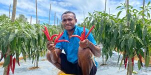 Knowledge Transfer & Extension – Papua