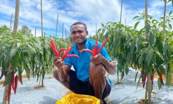 Knowledge Transfer & Extension – Papua Barat, Papua Barat Daya & Papua Tengah