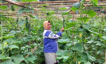 Knowledge Transfer & Extension – Aceh & Sumatera Utara