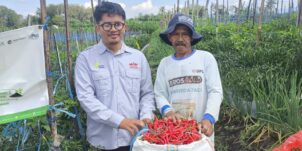 Strengthening Horticulture Cooperatives in West Java