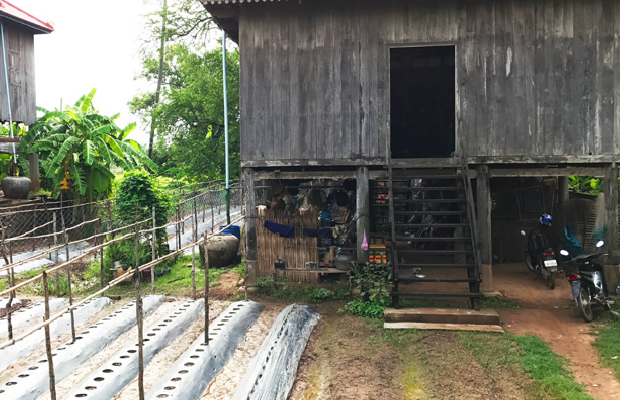 Kebun Pekarangan