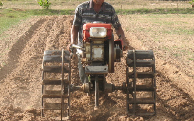 Persiapan Lahan