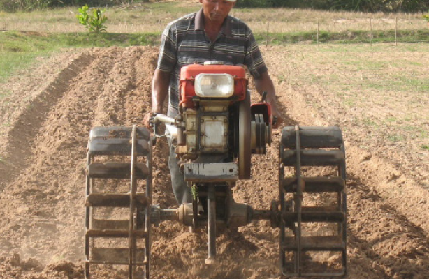 Land Preparation
