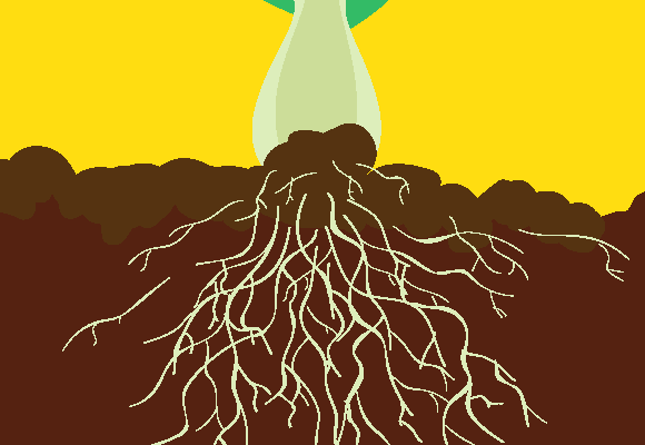 Soil Health Macronutrient