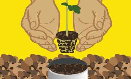 Container Gardening
