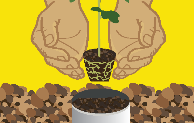 Container Gardening