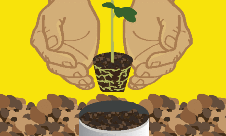 Berkebun dalam Kotak