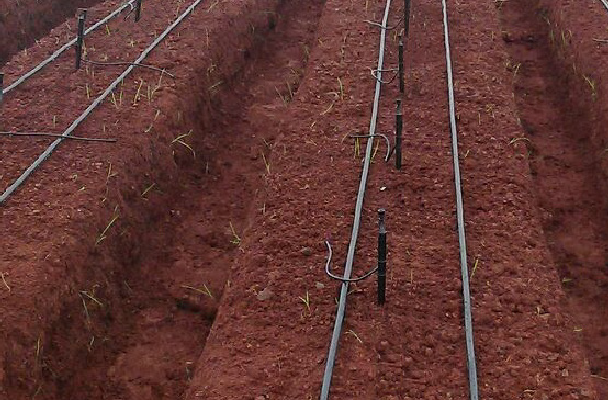 Drip Irrigation