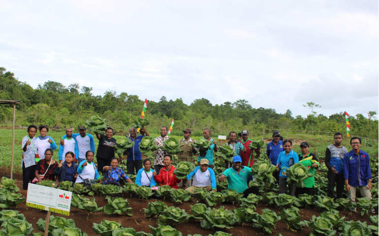 Project Impact GAP Adoption