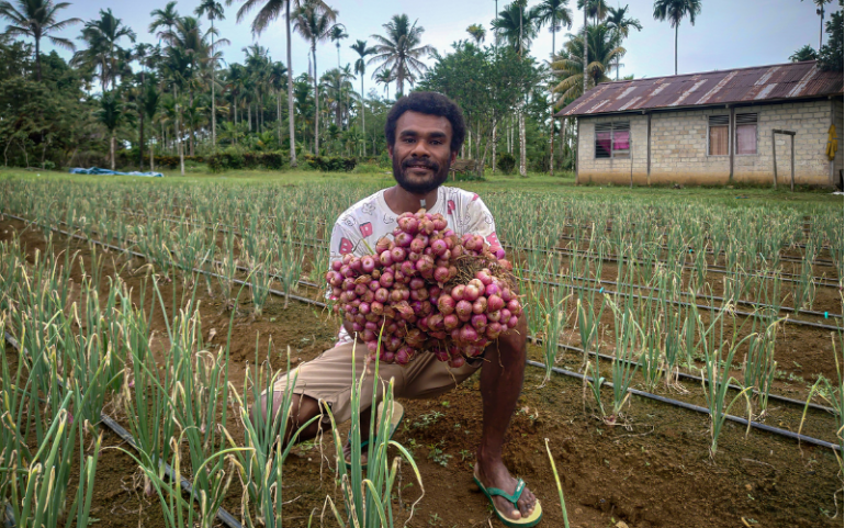 Agus Faidiban, the Pioneer of True Shallot Seeds (TSS) Farmers in Biak Numfor