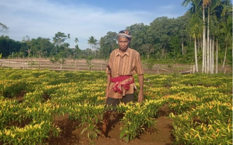 Age is Just a Number! The Success Story of Older Farmers in West Wewewa