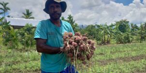 Empowering Youth, Building Papua