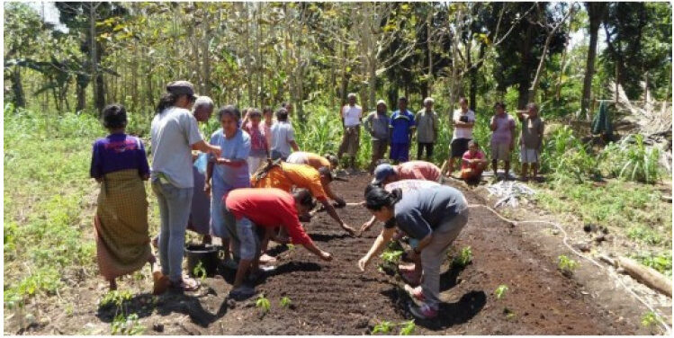 Resilience and Livelihood