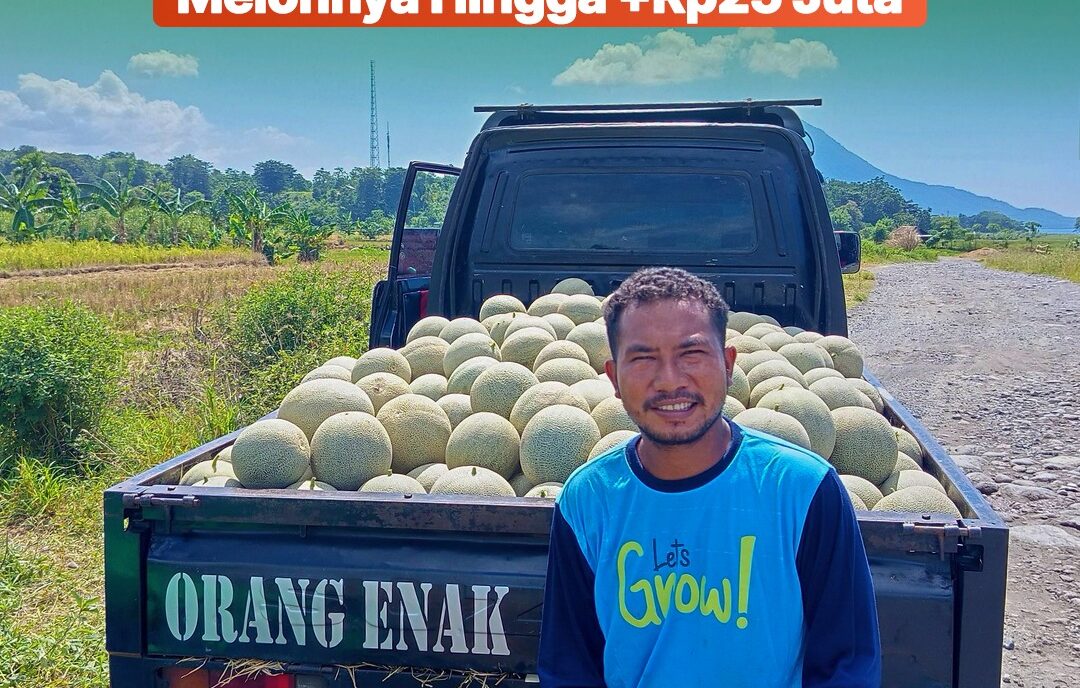 Let’s Grow! (Flores Cluster)
