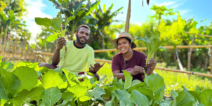 Meningkatkan Pendapatan Petani melalui Produksi Sayuran yang Menguntungkan