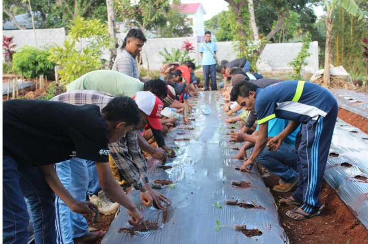 “Hutan Bertani” Group: a Young farmers group from Soe, West Timor