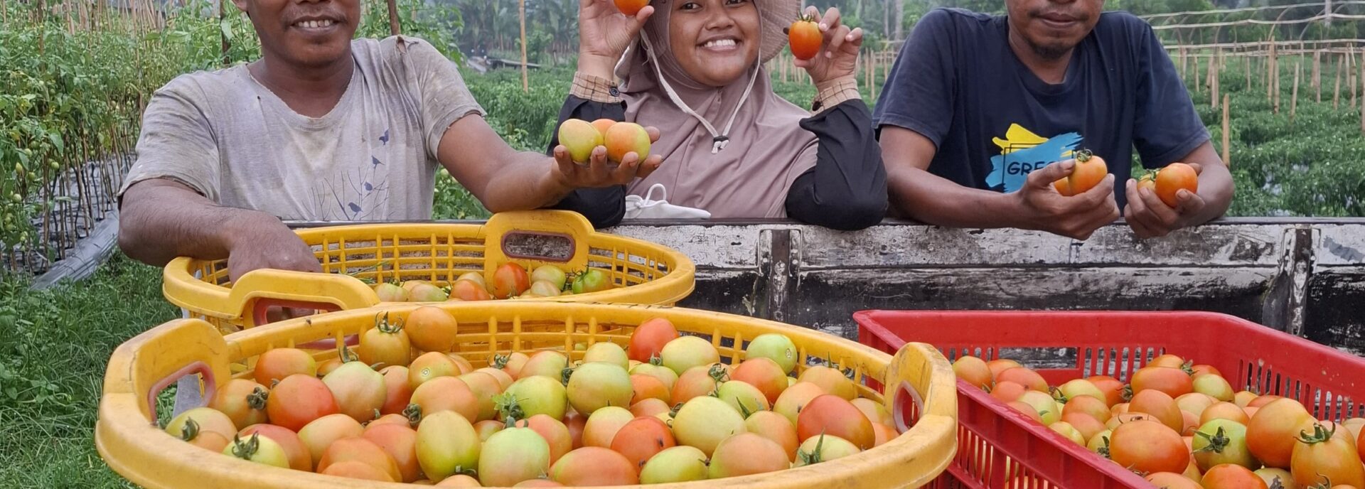 Knowledge Transfer & Extension – Maluku Utara