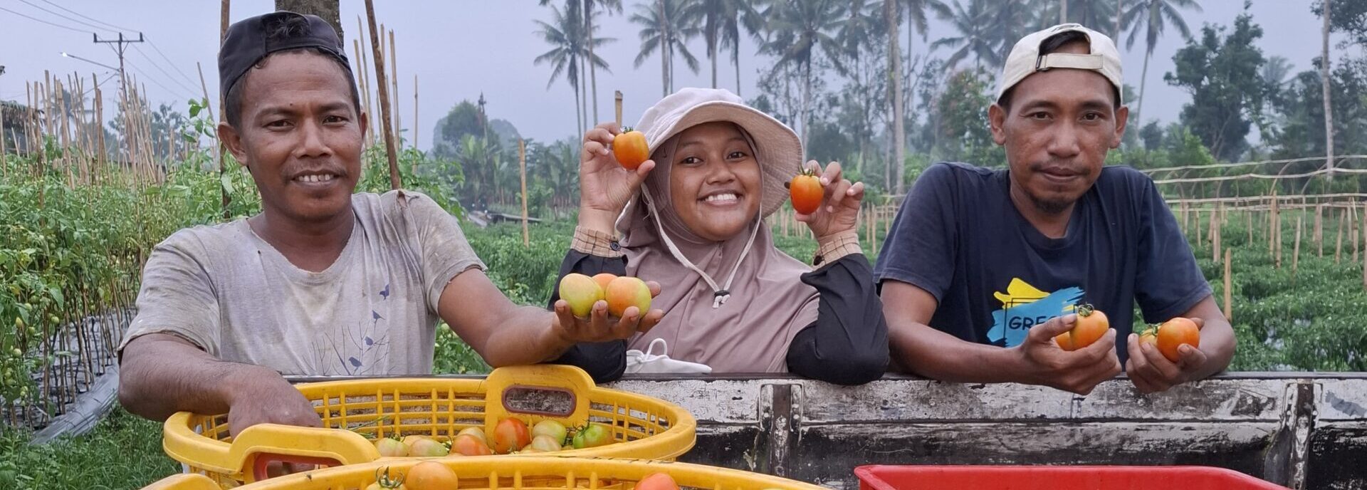 Knowledge Transfer & Extension – Maluku Utara