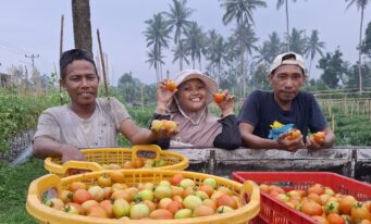 Knowledge Transfer & Extension – Maluku Utara