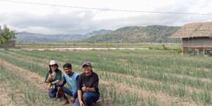 Let’s Grow! (Timor-Sumba Cluster)