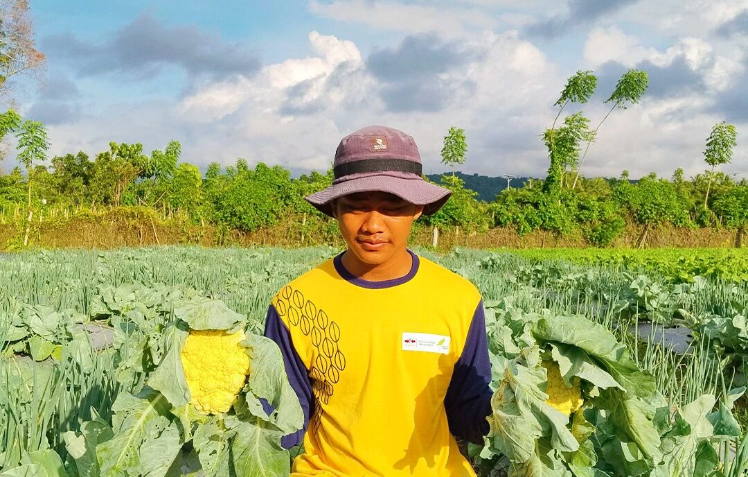 Knowledge Transfer & Extension – Maluku Utara