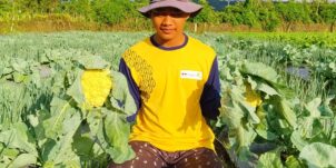 Knowledge Transfer & Extension – Maluku Utara