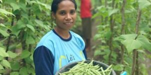 Let’s Grow (Timor Cluster)