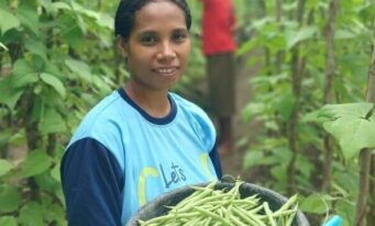 Let’s Grow (Timor Cluster)