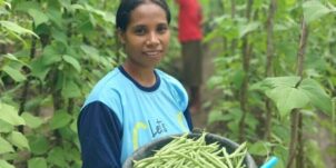 Let’s Grow! (Timor Cluster)