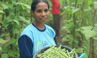 Let’s Grow! (Timor Cluster)