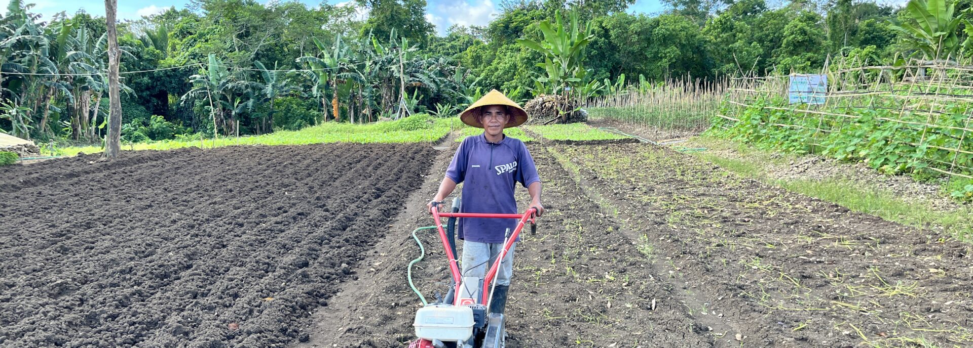 Bertani di Tengah Tantangan, Menanam Sayuran Tak Harus Kalah oleh Alam