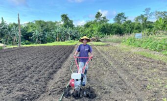 Bertani di Tengah Tantangan, Menanam Sayuran Tak Harus Kalah oleh Alam