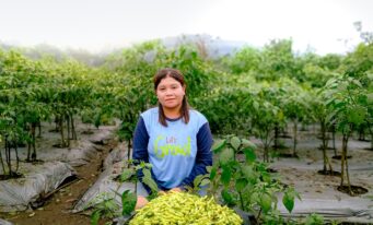From Hesitation to Harvest, Kaka Maria’s Success with Chili and Vegetables