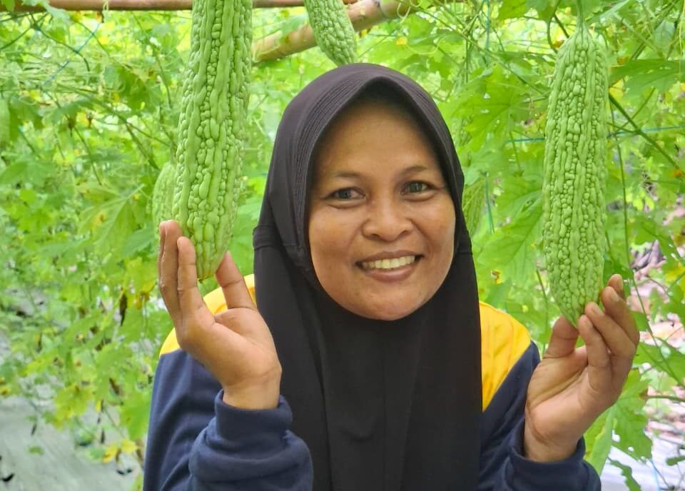 From Bu Ayu’s Bitter Gourd, Sprouts Sweet Success