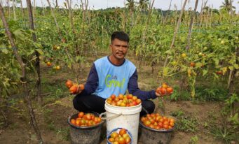 From Fisherman to Farmer, The Story of Youth Farmer