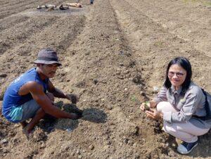 Ordi and Rotua, the Acting Team Leader of Sumba, while they started planting vegetables.