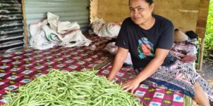 Let’s Grow! (Maluku Utara Cluster)