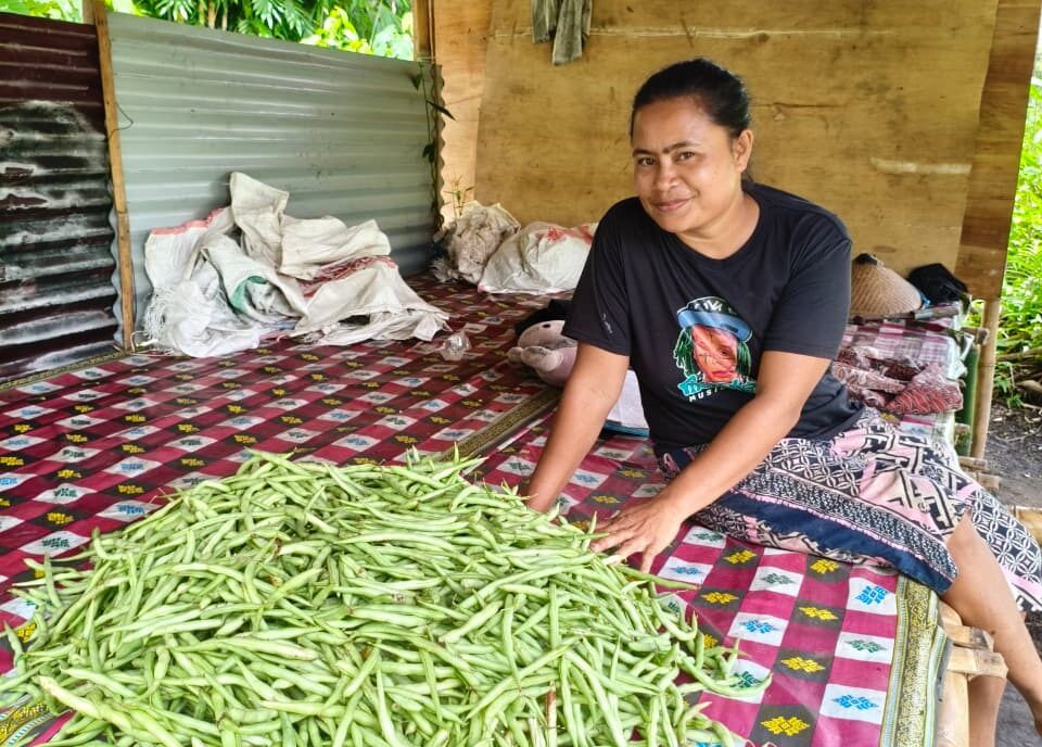 Let’s Grow! (Maluku Utara Cluster)